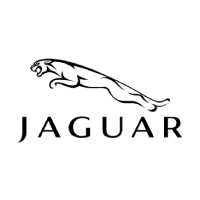 Jaguar, ecommerce companies